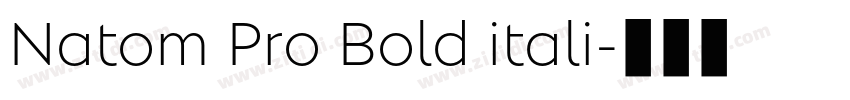 Natom Pro Bold itali字体转换 Natom Pro Bold itali字体转换